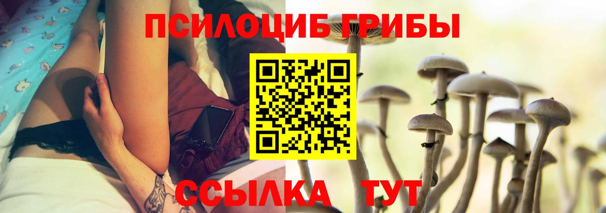 Галлюциногенные грибы прущие грибы  Вход с VPN  Димитровград 